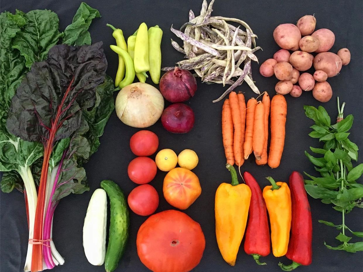 Squashington Farm CSA in Mount Horeb Blue Mounds, Wisconsin